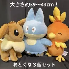 ポケモンぬいぐるみ　3個セット　①イーブイ②ゴンベ③アチャモ　新品　匿名配送