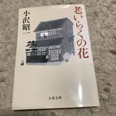 Item thumbnail for item 061f4c29-3690-4590-834b-dee05c5c7aec