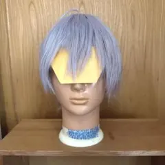 ツイステ シルバー ウィッグ