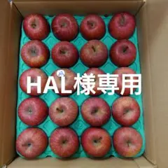 【HAL様専用】