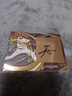 ソフトバンクホークス津森宏紀選手サイン入りカード 19枚限定 津森宥紀 サインカード 福岡ソフトバンクホークス