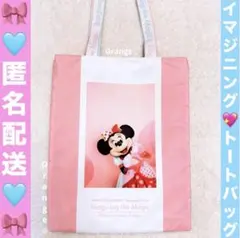 TDR⭐️イマジニング・ザ・マジック　トートバッグ　ミニー❤️ミッキー❤️ベリミニ