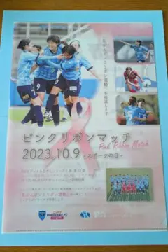 ニッパツ横浜FCシーガルズ　ピンクリボンマッチクリアファイル