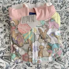 激レア【東京ディズニーリゾート限定】 イースター パーカー