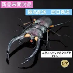 いきもの大図鑑アドバンス　クワガタ02 エラフスホソアカクワガタ　ブルー　レア