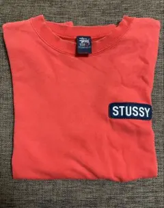 希少】old stussy紺タグ90sビンテージTシャツ　入手困難　USA製