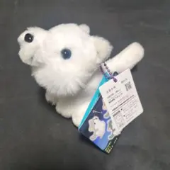 もふっとオオカミ　遠吠え ぬいぐるみ マスコット
