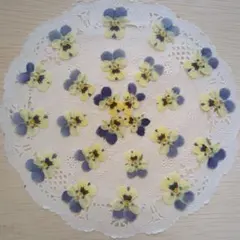 Solu様 リクエスト 10点 まとめ商品