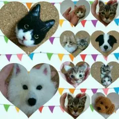 【休止中】動物オーダーブローチ イヌ ネコ 羊毛フェルト