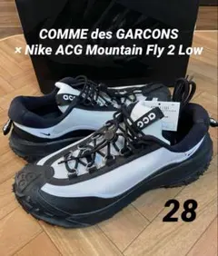 コムデギャルソン× Nike ACG Mountain Fly 2 Low