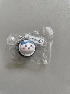 くら寿司 ハチワレ
