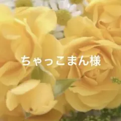 ちゃっこまん様