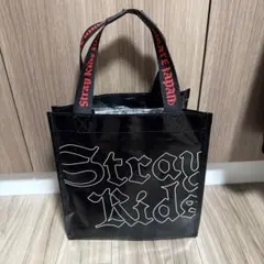 ピリペン様専用　スキズ　アプグレ特典