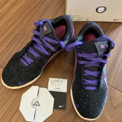 Nike LeBron XXI バスケットボールシューズ