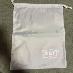 Item thumbnail for item 4323ea45-8773-4122-adfe-9922db57865c