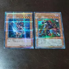 遊戯王　アマゾネスの剣士、速攻のブラック忍者　ウルトラパラレル　セット