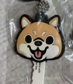 Item thumbnail for item 6ce19c15-5fdc-44ab-a6d1-a59e3a79e9f0