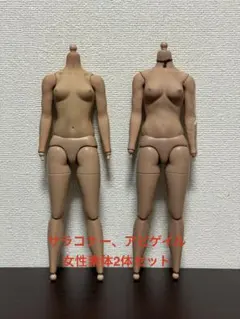 ホットトイズ サラコナー、アビゲイル 女性素体 2体セット ホットトイズ サラコナー、アビゲイル 女性素体 2体セット - メルカリ