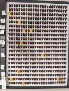 Item thumbnail for item 5030ff2d-7fef-468b-aacd-7b0e2bda95be