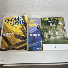 ワイルド・ソウル 上下　　ヒート・アイランド　垣根涼介