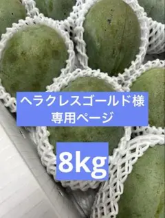 ヘラクレスゴールド様専用ページ