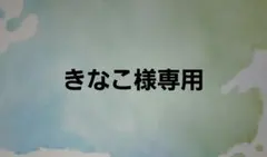 【きなこ様専用】