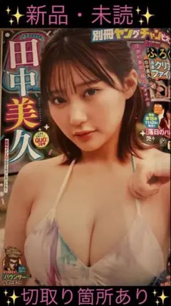 ヤングチャンピオン 雑誌