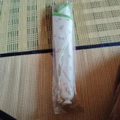 Item thumbnail for item 8d87b72b-04ae-4105-ae64-bbbf4606a9b4