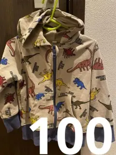 恐竜柄 フード付きジャケット 100cm