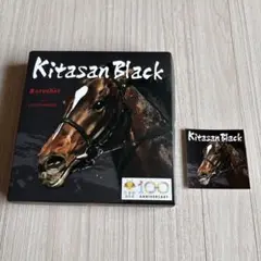 京都競馬場 キタサンブラック 京のロシェ
