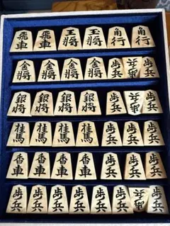 2025年最新】将棋駒 盛上駒の人気アイテム - メルカリ