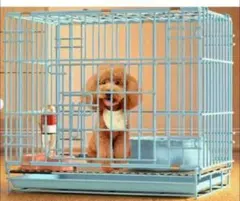 Item thumbnail for item dbb2563d-76d9-413d-98a4-575a640b75be