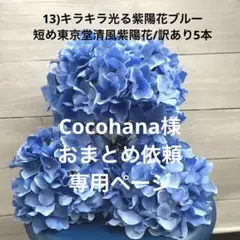Cocohana様 リクエスト 3点 まとめ商品