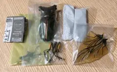 いきもの大図鑑　クワガタ　エラフスホソアカクワガタ　グリーン