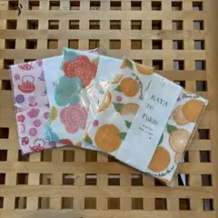 Item thumbnail for item b43b2e2c-100e-47c5-bad0-a7b06faa1b13