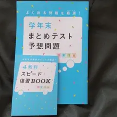 チャレンジ6年生学年末まとめテスト＆スピード復習book