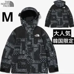 【韓国限定】新品　ノースフェイス マウンテンジャケット ペイズリー　M