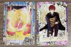 ある日、お姫様になってしまった件について　ある姫　カード　2枚