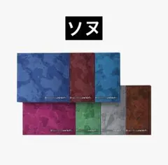 ENHYPEN THE SIN:VANISH ソヌ 新品未開封