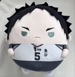 赤葦京治 梟谷学園 ハイキュー!! ふわコロりんMsize