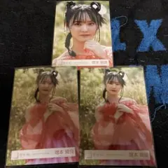 Item thumbnail for item 62082f5a-02cc-4094-a462-8f5dc926d70a