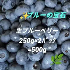 ブルーベリー＊生ブルーベリー＊完熟ブルーベリー＊摘みたて＊農薬不使用のサムネイル