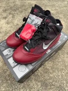 NIKE LEBRON スニーカー
