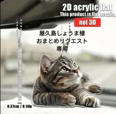 屋久島しょうま様 リクエスト 3点 おまとめ商品