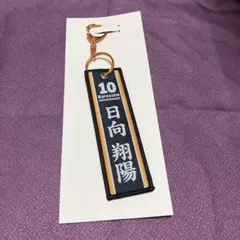 ハイキュー　タイトーくじ　G賞　フライトタグ　日向翔陽