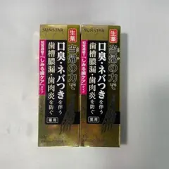 【未開封】SUNSTAR 薬用塩ハミガキS 82g 2本セット 当帰の力でのサムネイル