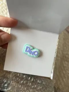 SEVENTEEN's HOME DINO Deco parts