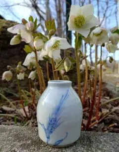 2026年最新】青山 花瓶の人気アイテム - メルカリ