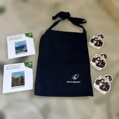 IWATA PROJECTポシェット　サウジアラビア　ナナズグリーンティーシール