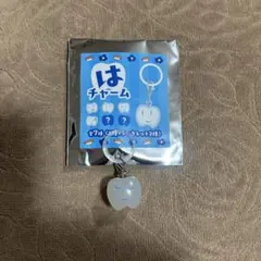 Ado おい、輝け！はチャーム 【新品未使用】